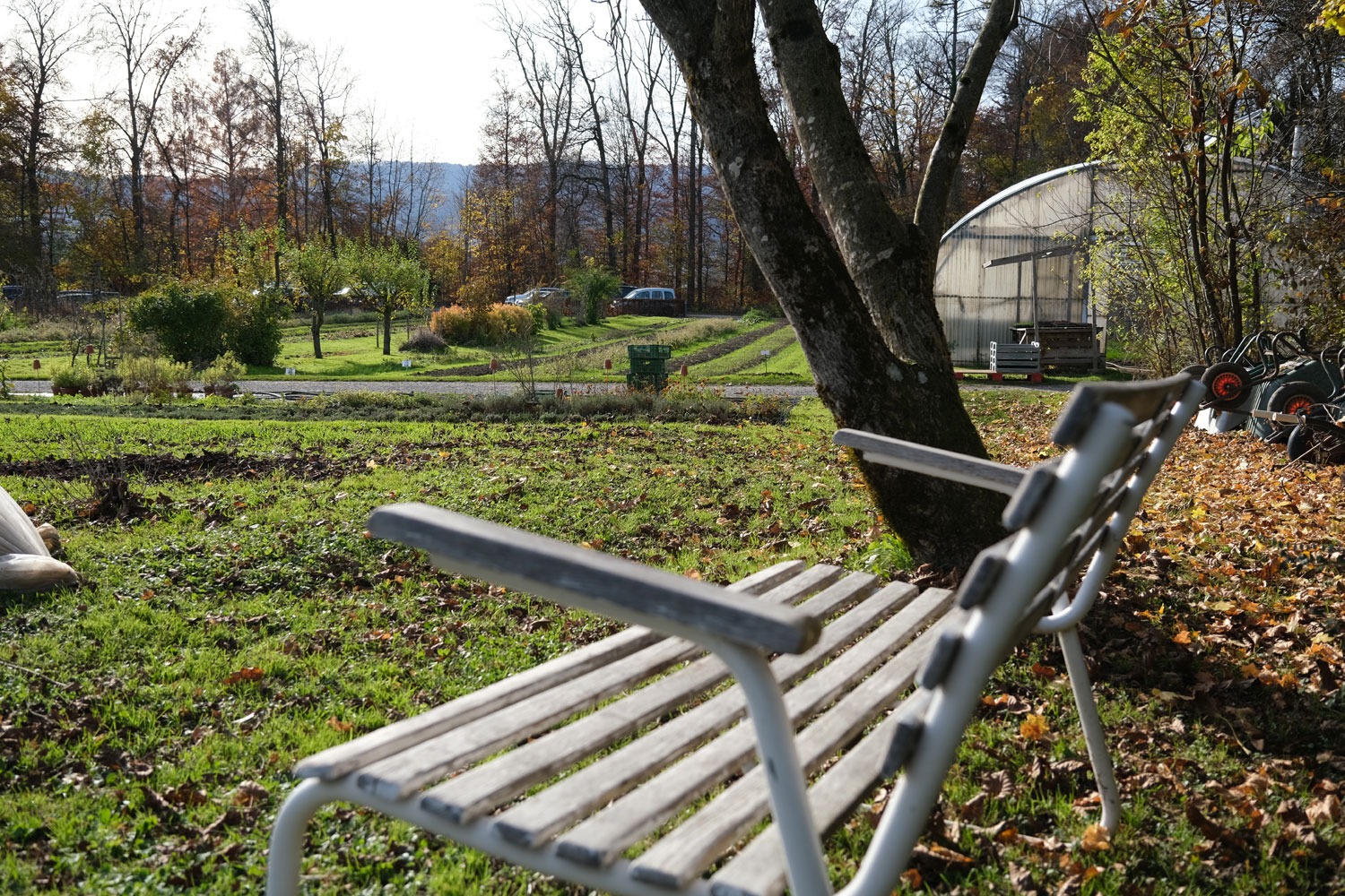 Offene Wohnplätze in der Stöckenweid
